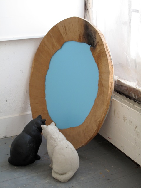 spiegel1 /katzen