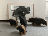 vogelperspektive23/24